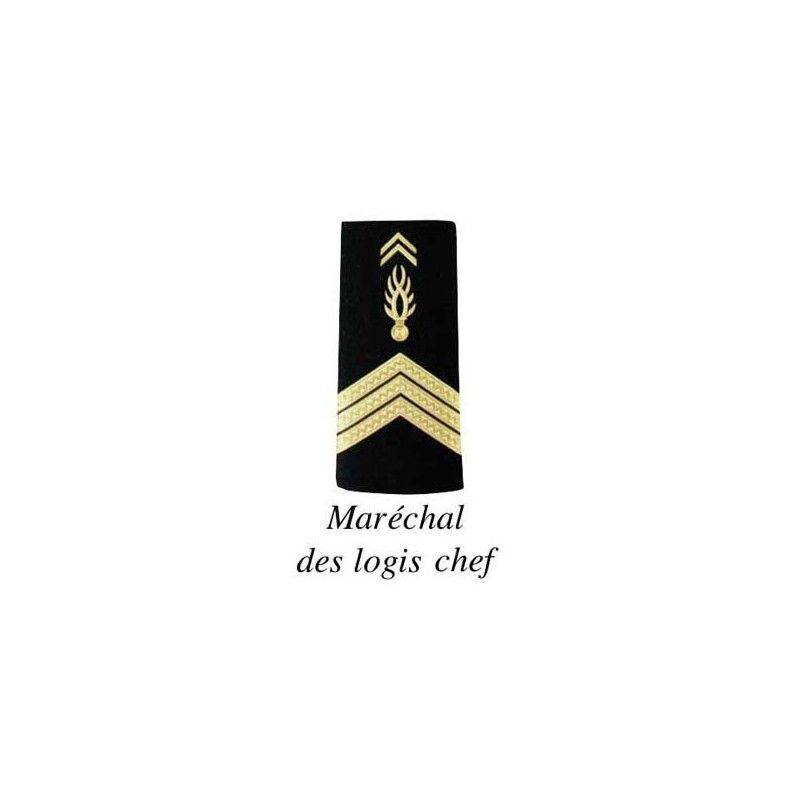 2 FOURREAUX GENDARMERIE MOBILE PLASTIFIE  - 5 2 FOURREAUX GENDARMERIE MOBILE PLASTIFIE  - 5