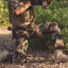 Pantalon treillis camouflage CE Ripstop Opex  - 8 Pantalon treillis camouflage CE Ripstop Opex  - 8