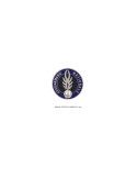 Médaille Gendarmerie Médaille Gendarmerie